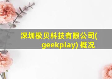 深圳极贝科技有限公司(geekplay) 概况